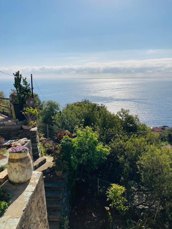 Maison Mediterraneo - Rez De Villa, Vue Imprenable Sur La Mer بيترانيرا المظهر الخارجي الصورة